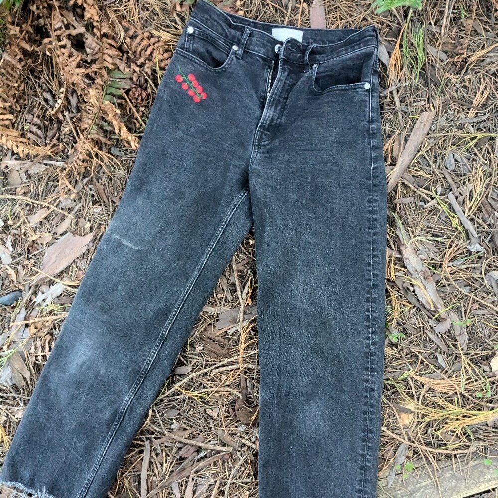 Everlane Way High Jean in Coal with hand embroidered veggies